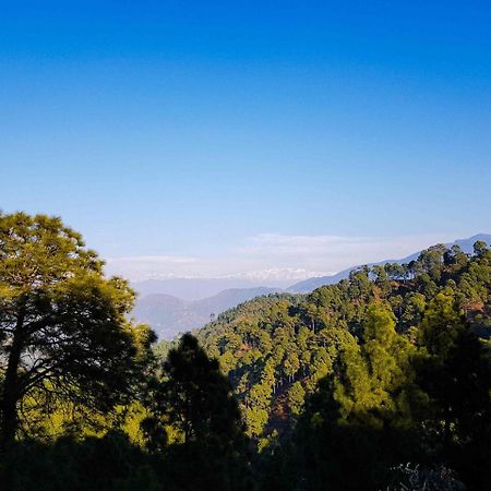 Hotel Homely Abode Dalhousie Εξωτερικό φωτογραφία