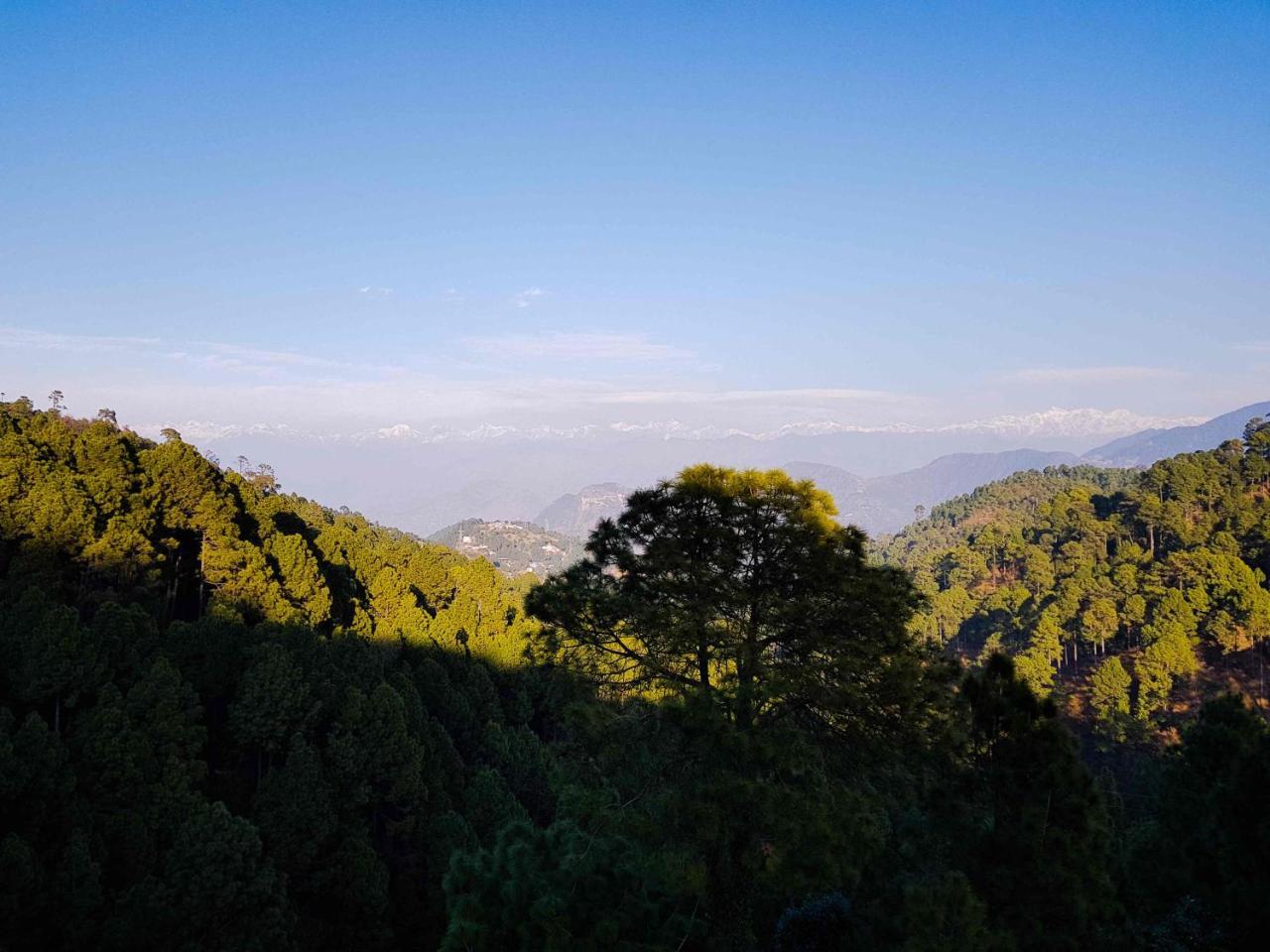 Hotel Homely Abode Dalhousie Εξωτερικό φωτογραφία
